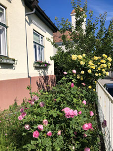 Schamane und Schamanin in Wien