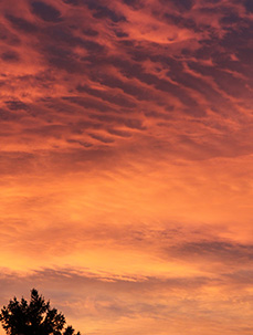 Schamane in Wien Downloads